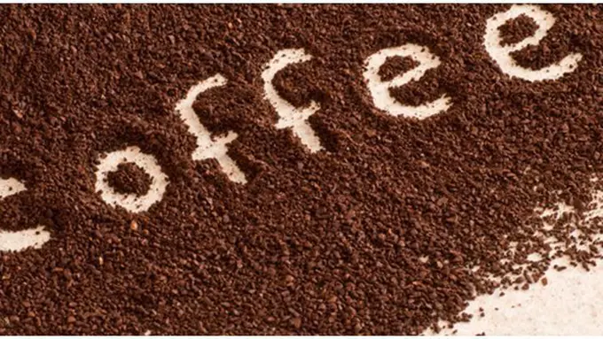 Foto: copyright amazonaws.com