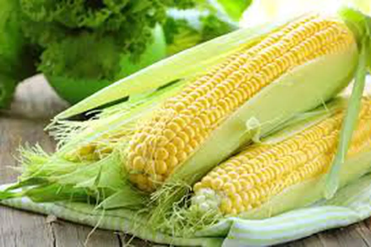 Jagung