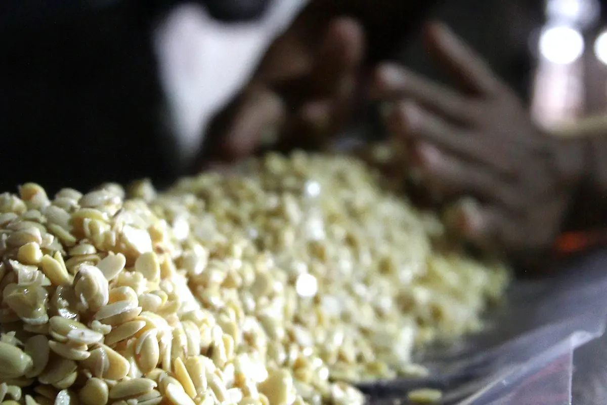 Rupiah Melemah, Harga Kedelai Merangkak Naik