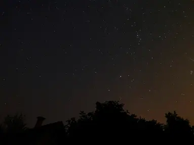 Sebuah Pemandangan meteor jatuh terlihat dari Desa Goroshki, Minsk, Belarus, Rabu (12/8/2015). Meteor jatuh tersebut merupakan bagian dari fenomena hujan meteor Perseid yang rutin terjadi setiap tahun. (REUTERS/Vasily Fedosenko)