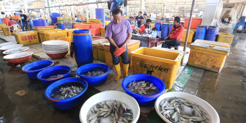 Aktivitas di Pasar Ikan Muara Baru Kembali Bergeliat