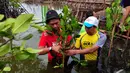 Sejumlah relawan Pertamina Sobat Bumi melakukan penanaman mangrove di Desa Muara Ujung, Tangerang, Banten, Minggu (7/12/2014). (Liputan6.com/Johan Tallo)