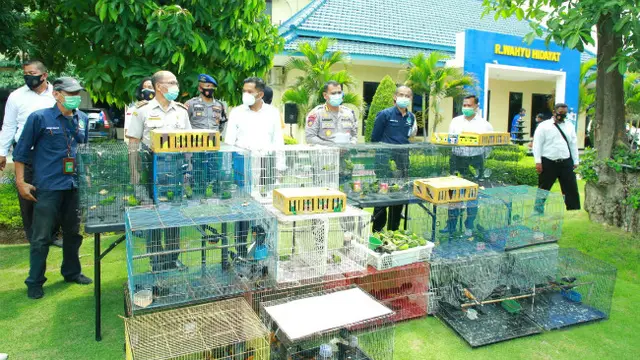 (Foto: Liputan6.com/Dian Kurniawan)
