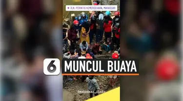 WARGA GEGER, MUNCUL BUAYA 'JADI-JADIAN' DI SUNGAI TALLO MAKASSAR