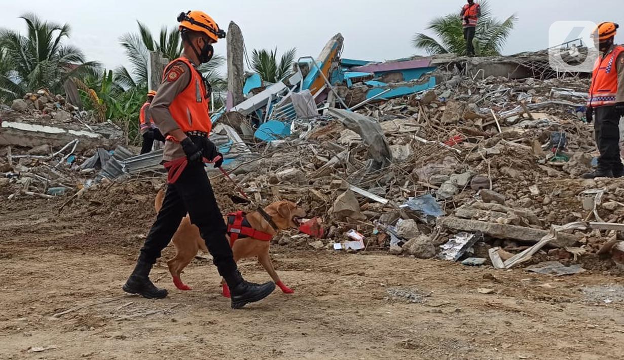 Polisi dengan bantuan anjing pelacak bersiap mencari korban gempa bumi di bangunan Rumah Sakit Mitra Manakarra yang runtuh di Mamuju, Minggu (17/1/2021). Polri mengerahkan enam ekor K-9 untuk membantu menangani dampak gempa bumi di Majene dan Mamuju, Sulawesi Barat. (Liputan6.com/Abdul Rajab Umar)