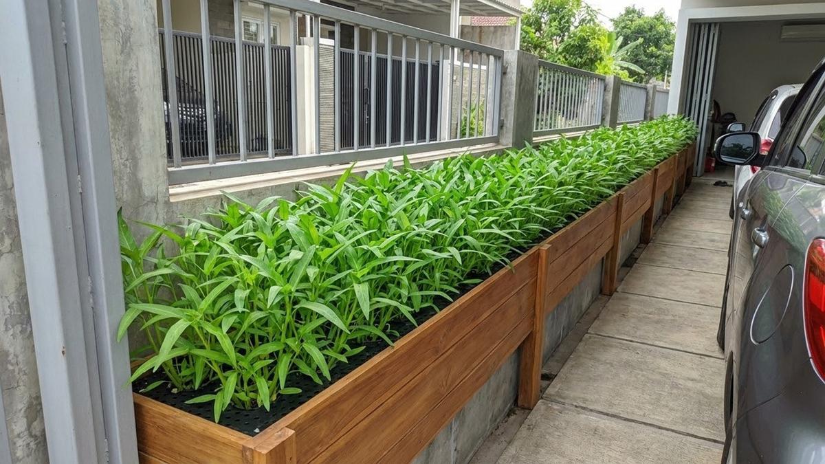 9 Desain Kebun Sayur Minimalis Depan Rumah Pakai Box Planter Kayu, Tren Hunian Sehat