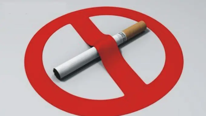 Miss WITT 2017 Siap Sambut Hari Tanpa Tembakau Sedunia