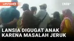 Perkara Kebun Jeruk, Ibu di Jember Digugat Anak Kandung