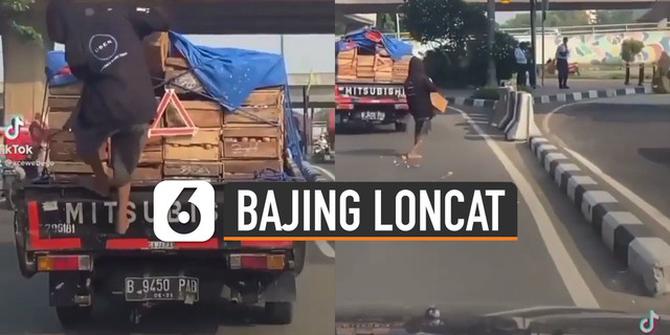 VIDEO: Nekat, Bajing Loncat Curi Satu Peti Telur Ayam di Mobil Box