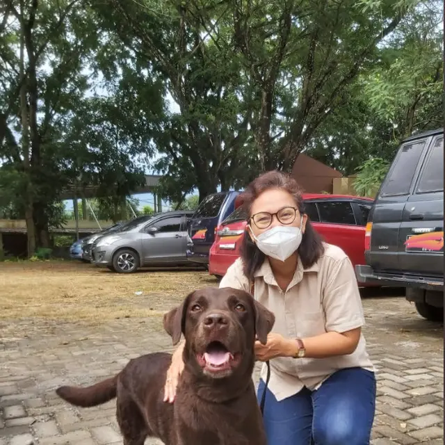 Viral Kisah Anjing Pelacak Bernama Coco, Bantu Relawan Temukan Korban Cianjur