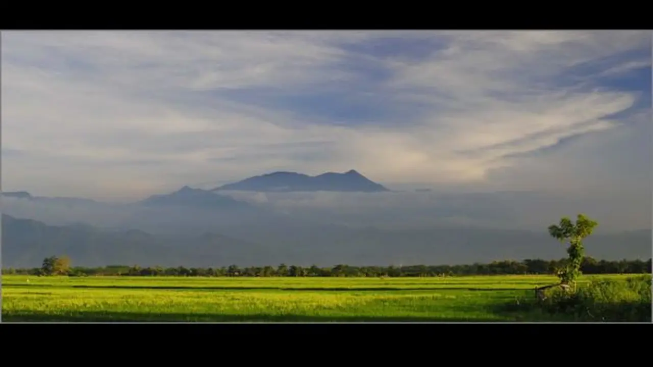 Gunung Argopuro
