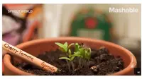 Sprout Pencil adalah pensil  unik yang bisa tumbuhkan tanaman (Sumber: Twitter/@mashable)