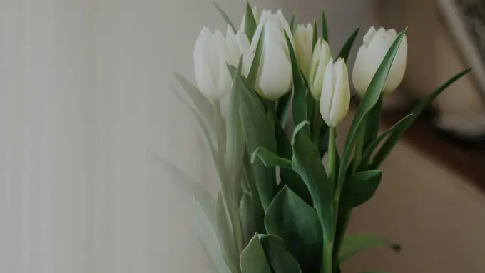 5 Manfaat Memiliki Bunga di Rumah yang Sering Tidak Disadari