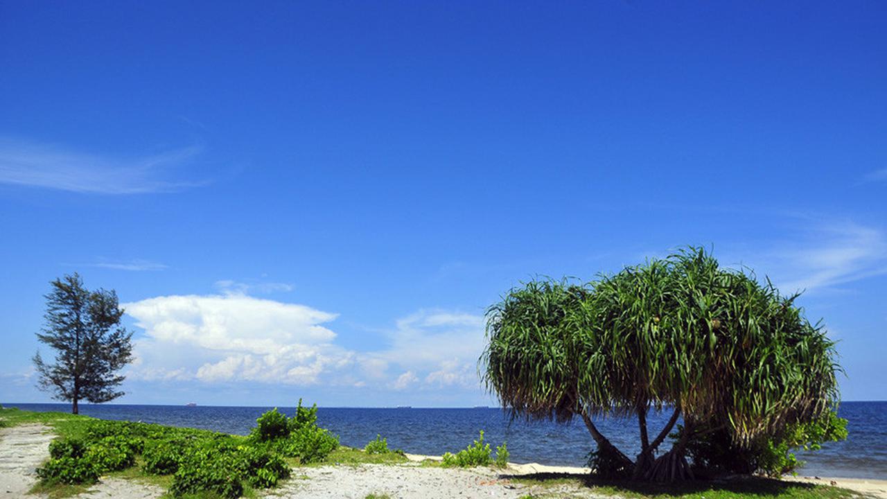 [Bintang] Kalimantan
