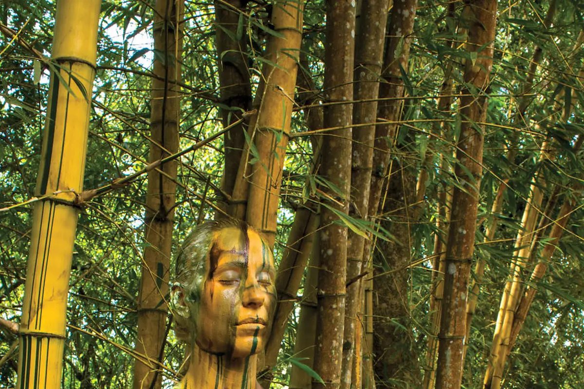 [Bintang] Bambu