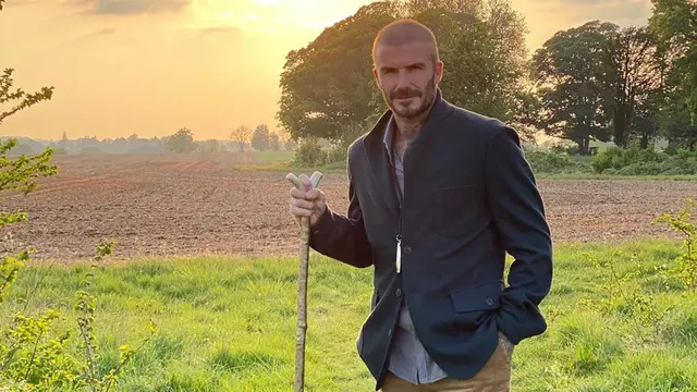 David Beckham