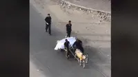 Beredar Video Kondisi Miris di Palestina, Jenazah Dibawa ke Pemakaman dengan Gerobak Keledai.&nbsp; foto: TikTok @ahmed_shorafa
