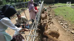 Pengunjung memberi makan rusa Jawa di penangkaran yang terletak di pintu masuk Perumahan BNR, Bogor, Jawa Barat, (19/6). Serlain gratis, pengunjung dapat memberi pendidikan lingkungan hidup kepada anak-anak. (Merdeka.com/Arie Basuki)