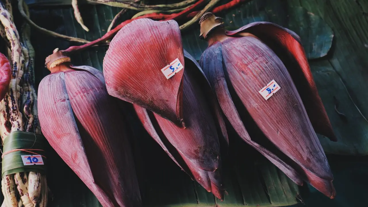 Tips Memilih Jantung Pisang yang Tidak Sepat