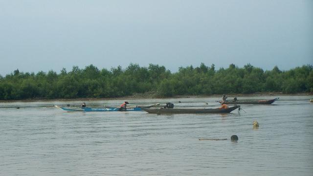 Ilustrasi – sejumlah nelayan tengah mencari ikan dan kepiting di sekitar hutan mangrove, Laguna Segara Anakan, Cilacap, Jawa Tengah. (Foto: Liputan6.com/Muhamad Ridlo)