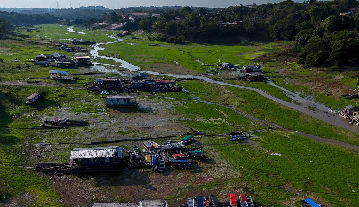 Sungai dan danau di wilayah Negara Bagian Amazonas mencapai titik terendah dalam sejarah. (MICHAEL DANTAS/AFP)