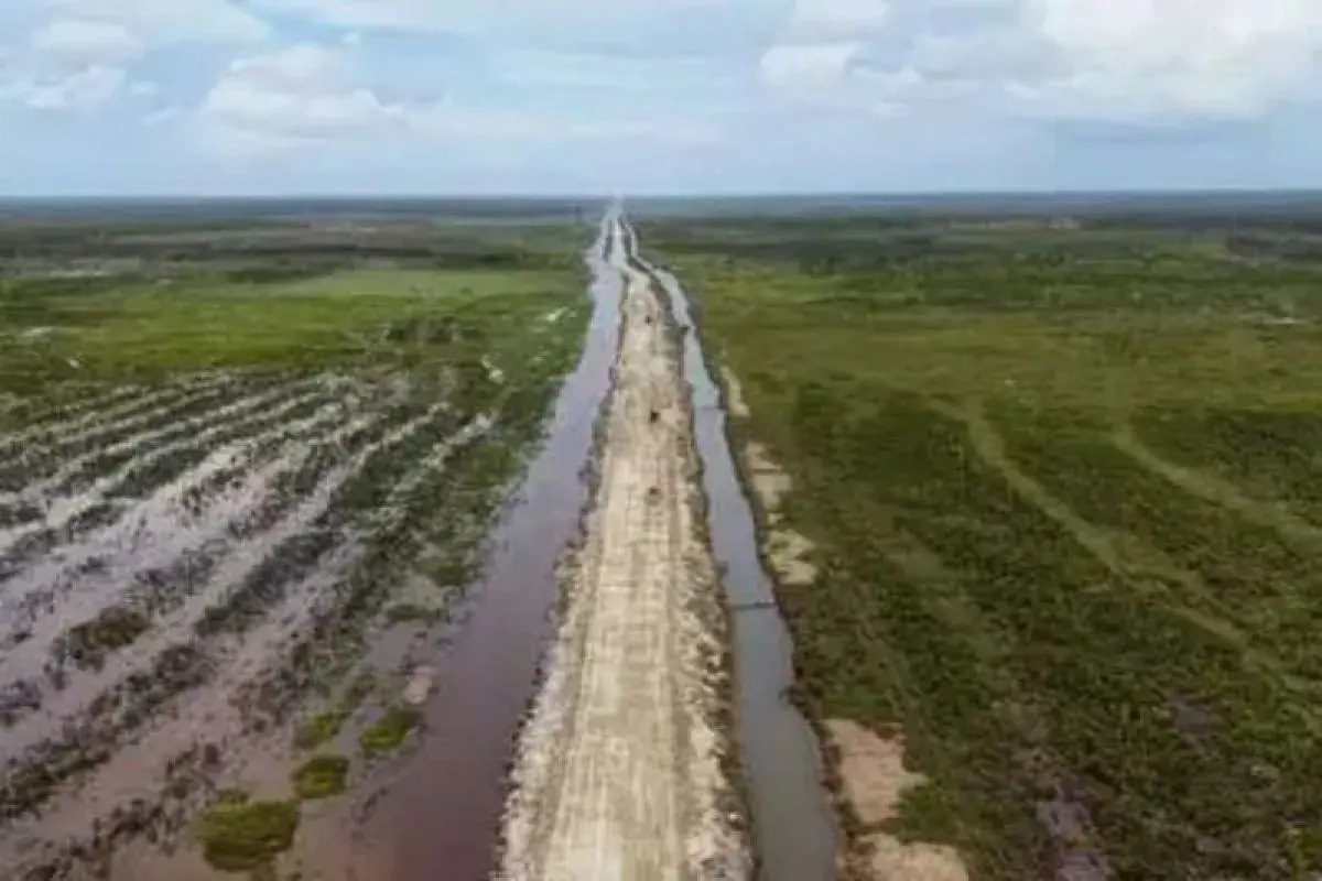 Kawasan proyek cetak sawah di Wanam, Papua Selatan.