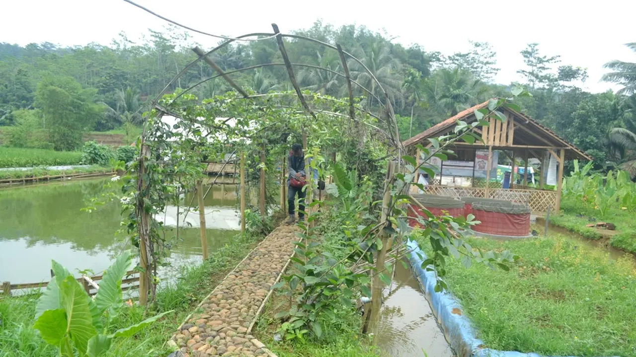 Komplek Kampung Sidat, yang juga pusat Sekolah Kader Desa Brilian, Singasari, Banyumas. (Foto: Liputan6.com/Muhamad Ridlo)