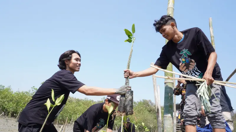 2.200 pohon mangrove ditanam menyambut Hari Santri 2023 di Pantai Romo Kalisari Surabaya. (Istimewa)