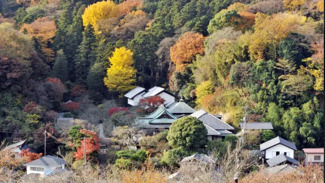 Kuil Matsugaoka Tokei-ji