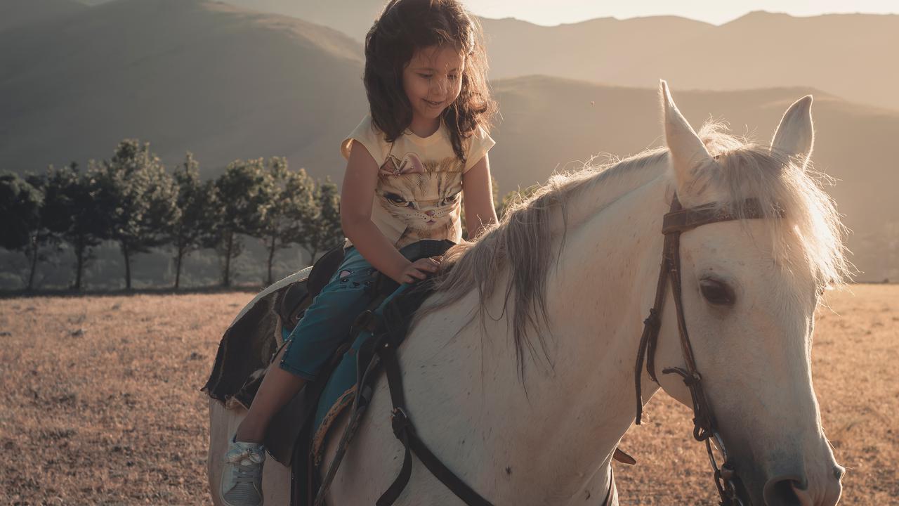 Waspada Virus Hendra Penyakit dari Kuda Ke Manusia
