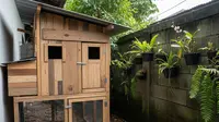 7 Desain Kandang Ayam dari Kayu Bekas yang Hemat Biaya, Kokoh, dan Ramah Lingkungan
