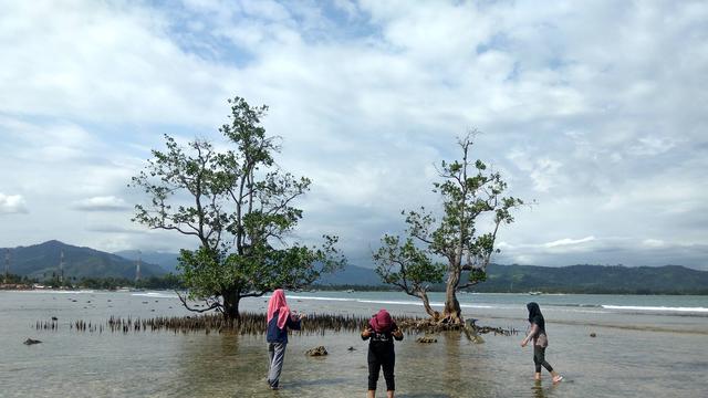 30++ Gambar Hitam Putih Pemandangan Pelangi - Foto ...
