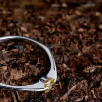 Perhatikan cara merawat perhiasan logammu, jangan asal penanganan!/copyright pexels/Amazing Clicks by Arjun