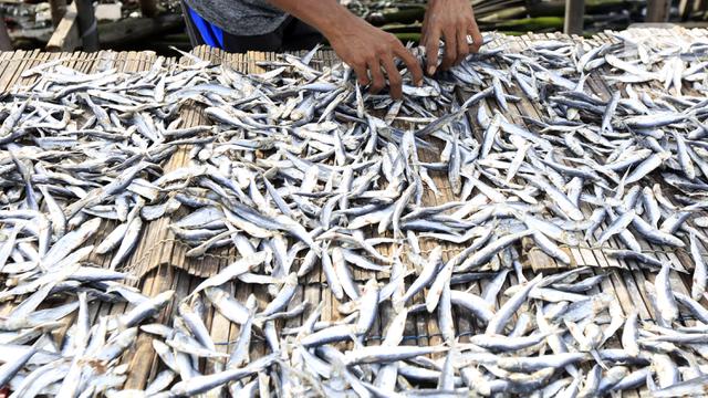 FOTO: Produksi Olahan Ikan Asin Menurun