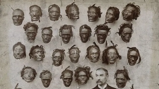 Koleksi kepala Suku Maori