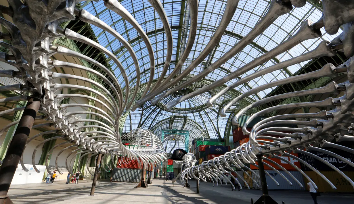 Tampilan instalasi dari kerangka ular di pameran Monumenta di Grand Palais, Paris , Prancis , 8 Mei 2016. Huang Yong Ping adalah seniman kontroversial dan provokatif dari seni China di tahun 1980-an. (REUTERS / Jacky Naegelen)