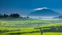 Gunung Lawu dilihat dari Jatiyoso, Karanganyar, Jawa Tengah (Sumber: Pinterest/Mazdarwan)