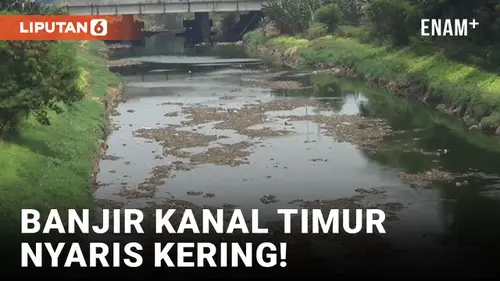 VIDEO: Dampak Kemarau, Banjir Kanal Timur Nyaris Kering