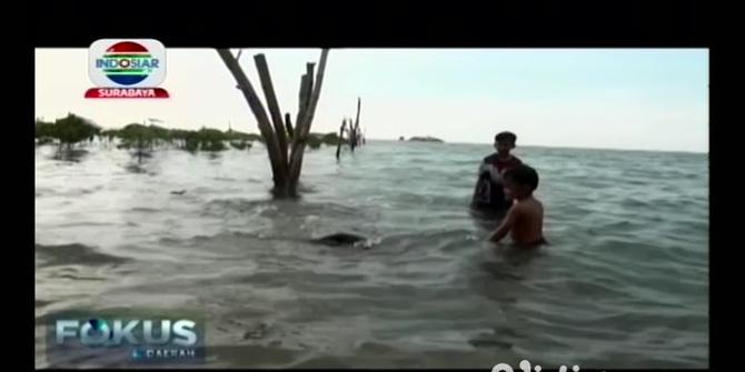 VIDEO: Mengunjungi Pantai Binor Harmony di Probolinggo