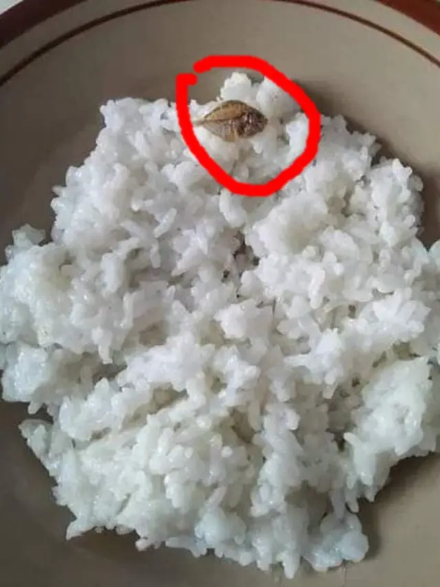 10 Lauk Makan Pakai Ikan Ini Dijamin Enggak Bikin Kenyang, Kocak