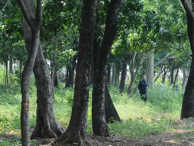 Petugas berpatroli di kawasan Waduk Cincin, Jakarta, Selasa (8/1). Pemerintah Kota Administratif Jakarta Utara berencana menata kawasan Hutan Kota Waduk Cincin yang berlokasi di kawasan Sunter, Jakarta Utara. (Liputan6.com/Herman Zakharia)