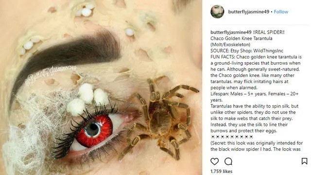 Viral, Riasan Mata Menggunakan Serangga Asli