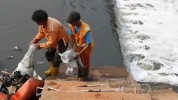 Petugas mengumpulkan sampah yang mengendap di Kanal Banjir Timur, Jakarta, Selasa (19/9). Dikhawatirkan, air yang tercemar limbah itu akan membuat ikan-ikan yang ada dialiran air KBT akan mati. (Liputan6.com/Immanuel Antonius)