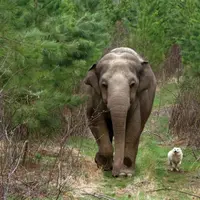 Tengok 26 foto berikut ini untuk meneduhkan hatimu yang sedang memanas.