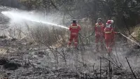 Titik Api Padam Seluruhnya, Luasan Area Gunung Bromo Capai 1.121 Hektare