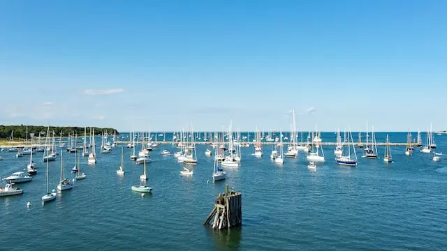 Ilustrasi Martha's Vineyard