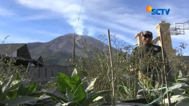 Petani di Boyolali, Jawa Tengah, terpaksa merugi lantaran ratusan hektar lahan pertaniannya rusak tertutup abu vulkanik Gunung Merapi.