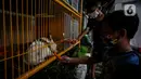 Anak-anak bermain di ruang edukasi anak di halaman Kantor Kelurahan Karet, Jakarta Selatan, Selasa (30/3/2021). Ruang terbuka yang berkonsep mini zoo ini memiliki sejumlah koleksi hewan peliharaan seperti kelinci, burung dan ikan hias. (Liputan6.com/Johan Tallo)