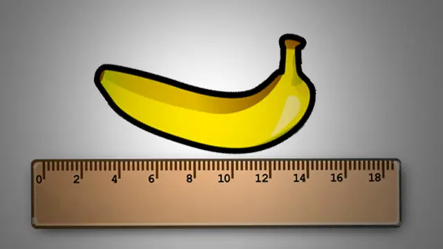 Ilustrasi Penis