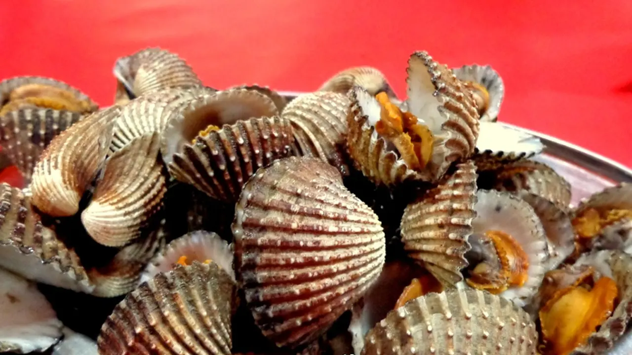 Kerang Darah 0714